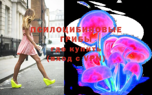 шишки Алзамай