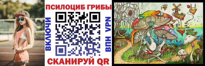 Псилоцибиновые грибы MAGIC MUSHROOMS  купить наркотик  Чадан 