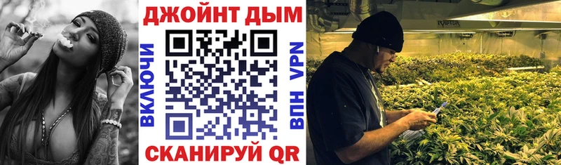 Каннабис индика  Чадан 